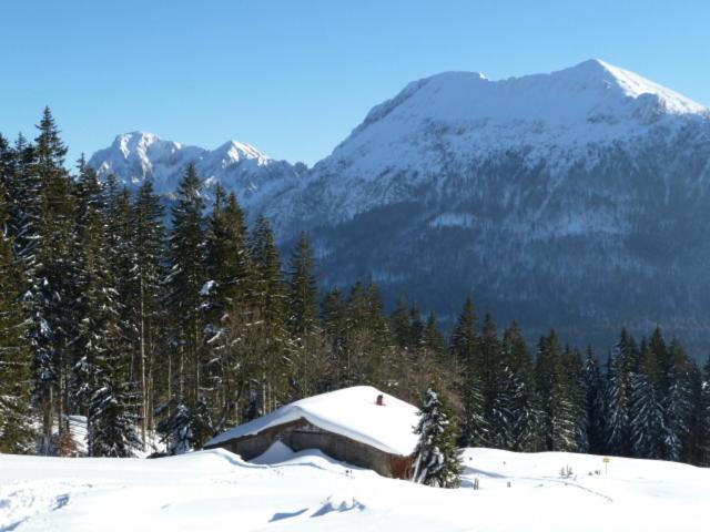 Gaestehaus Inzeller Hof المظهر الخارجي الصورة